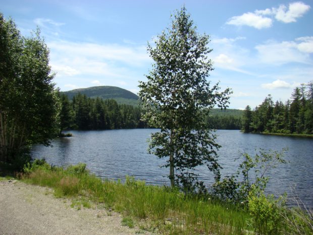Hills Pond in Perkins Township from Route 156 (2008)