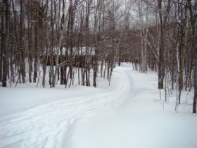 Trail to the Bunkhouse at the South Branch Pond campsite in Baxter State Park Trail to the Bunkhouse at the South Branch Pond campsite in Baxter State Park