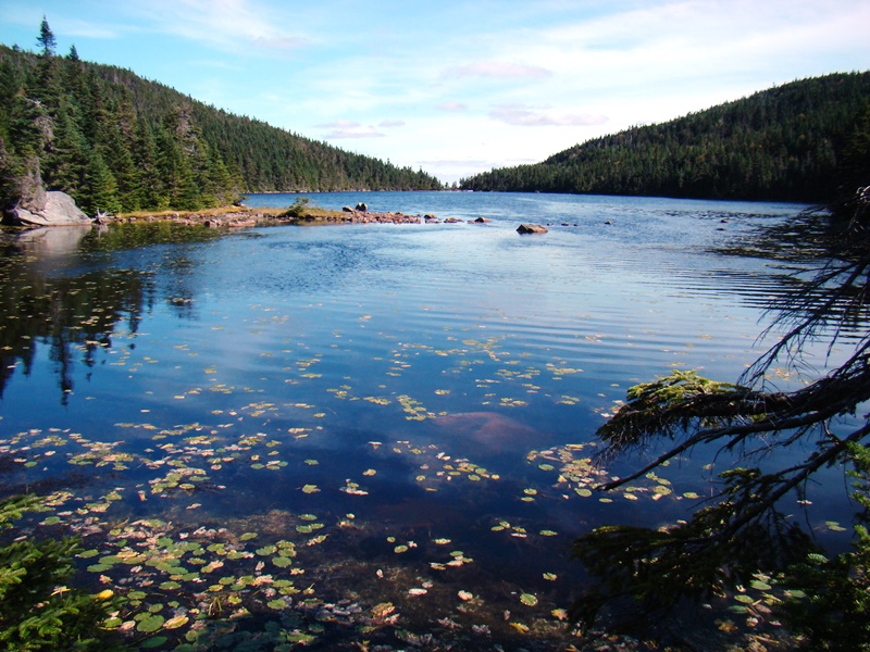 Northwest end of Speck Pond looking toward the AT (2009)