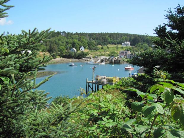 Frenchboro Harbor on Long Island (1011)