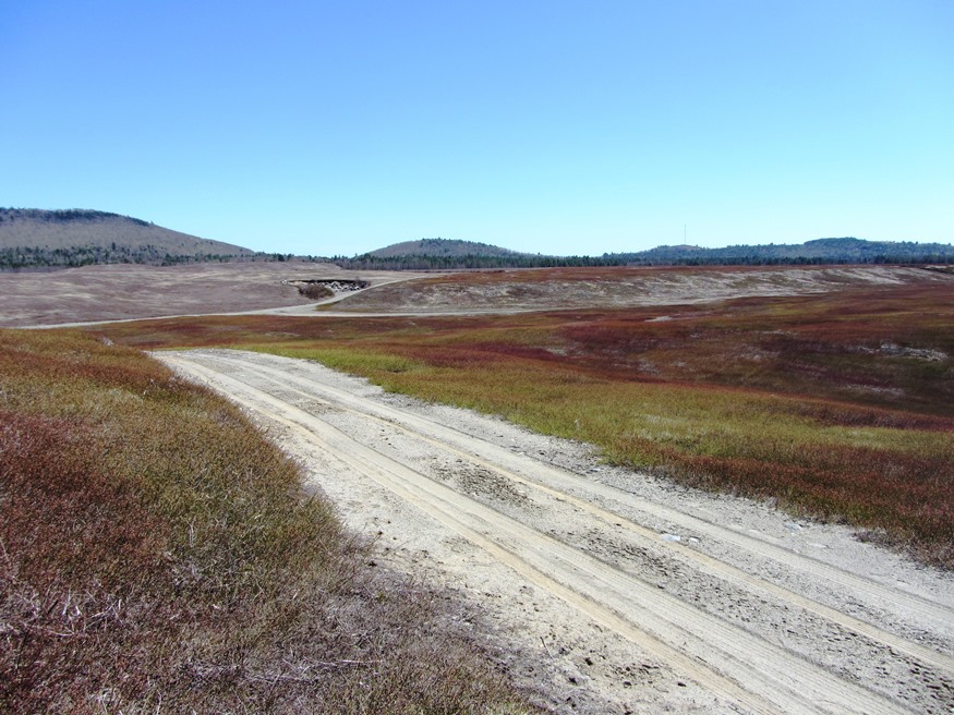 Silsby Plain Glacial Remnant and Blueberry Barrens in Aurora (2013)