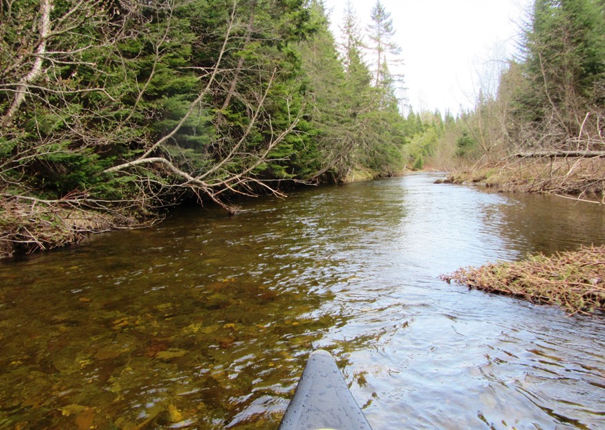 Canoe Trip on Sandy Stream West Branch in Dennistown Plantation (2014)