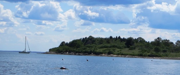 East Shore of Bangs Island (2015) N43° 43 East Shore of Bangs Island (2015)
