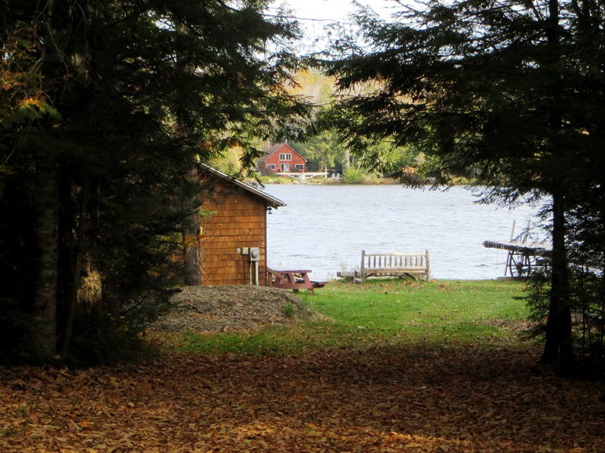 Plunkett Pond, locally known as Perry Pond, in Benedicta (2015)