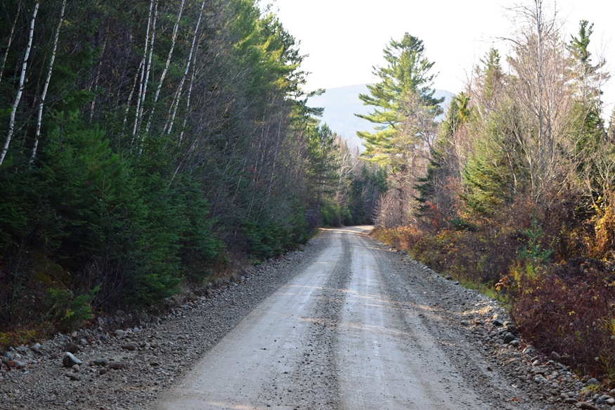 Spencer or Hardscrabble Mountain from Spencer Road in Hobbstown Township (2016)