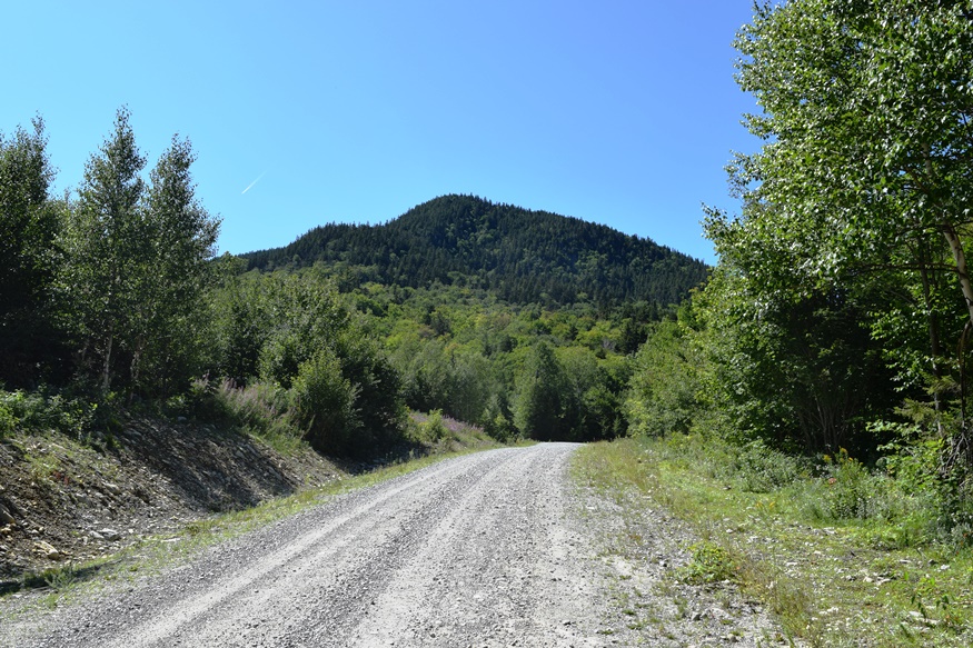 Spencer Road in Appleton Township (2019)