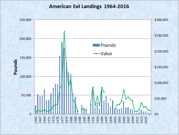 American Eel Landings 1964-2016 American Eel Landings 1964-2016