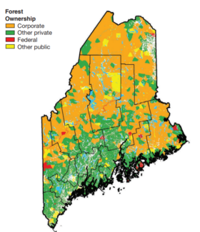 Forest Ownership (2013)