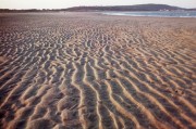 Ripples in the Sand Ripples in the Sand