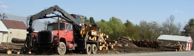 Logging Equipment at a Sawmill in Belgrade (2003) Logging Equipment at a Sawmill in Belgrade (2003)