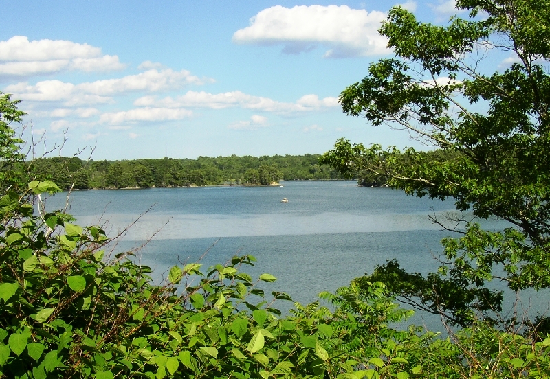 Great Salt Bay from the Mills Road in Newcastle (2004)