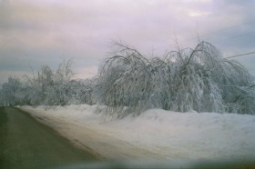 Ice Storm, 1998, in Sherman Ice Storm, 1998, in Sherman